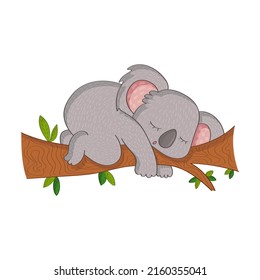 Funny koalas sleeping on a tree. Vector illustration of a cute animal. Cute little illustration of koala for kids, baby book, fairy tales, covers, baby shower invitation, textile t-shirt.