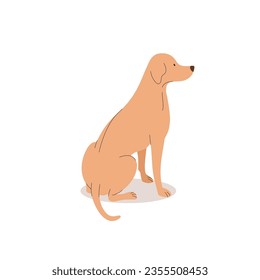 Funny labrador. Dogs collection. Vector illustration of cute breeds dogs in trendy flat style. Isolated on a white background