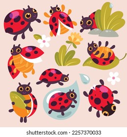 Funny Ladybirds or Wildlife Insects. Cute Ladybirds Set. Vector illustration