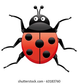 Funny ladybug, looking left, cartoon character, isolated on white background, vector illustration