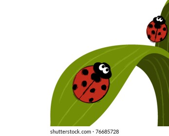 Funny ladybugs on green leaf