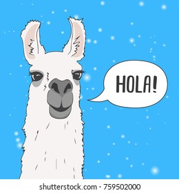 Gracioso retrato de la Alpaca Lama con nieve y fondo azul. Tarjeta de saludo con mano escrita Hola. Cute Vector Animal ilustración para diseño de capa, afiche, banner, camisetas, etc.