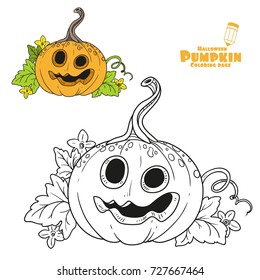 Funny lantern from pumpkin with the cut out of a grin and leaves color and outlined for coloring page