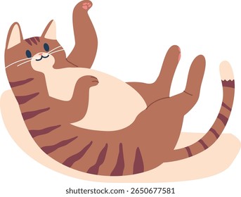 Engraçado gato preguiçoso na rede