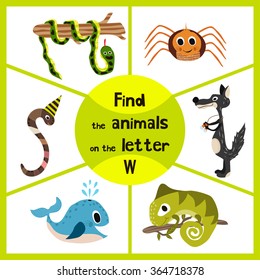 Funny learning maze game, find all 3 of cute wild animals to the letter , forest predator, the wolf, earthworm, and sea kit. Educational page for children. Vector illustration