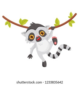 Funny lemur hanging on liana. Animal with long striped tail and big shiny eyes. Flat vector design