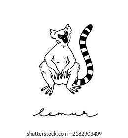 Funny lemur sits pensively and looks up. Striped tail. Primate with a long striped tail