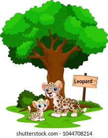 Funny leopard under a shady tree with a sign the identity 