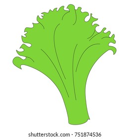Funny Lettuce cartoon, the colorful illustration with thin line black stroke