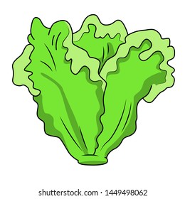 Lettuce Cartoon Images, Stock Photos & Vectors | Shutterstock