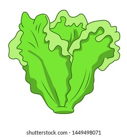 Funny Lettuce salad in cartoon style. Concept Fruits and vegetables. Summer.