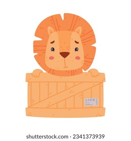 Funny Lion Character with Mane Sitting in Wooden Crate with Sad Face Vector Illustration