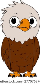A funny little bald eagle is posing standing and smiling