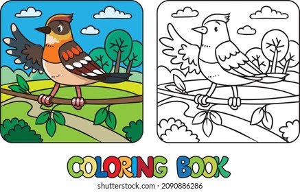 Funny Little Bird. Farm Animals Coloring Book