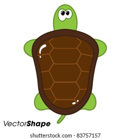 Funny little cartoon turtle seen from above, vector illustration