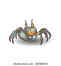 Funny little crab with the shadow