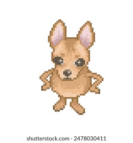 Funny little dog, pixel art meme