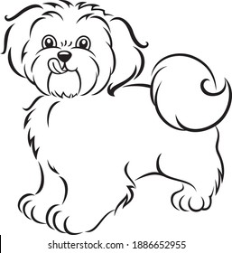 Funny little dog. Vector art. Contour drawing. Cute pet.