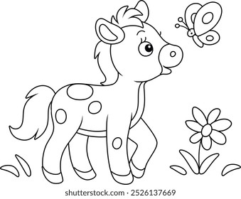 Funny little foal playing with a small butterfly in a summer flower field, black and white outline vector cartoon illustration for a coloring book