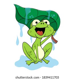 Funny Little Frog are happy when it rains and covers itselves with lotus leaves, best for sticker, decoration, t-shirt design, and illustration book of children