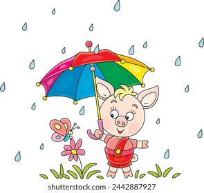 Funny little piglet carefully holding a beautiful striped umbrella over a small butterfly on a flower and saving it from summer rain, vector cartoon illustration on a white background