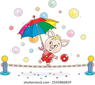 Equilibrista de leitão pequeno engraçado brincando com um guarda-chuva listrado multicolorido e balanceamento em uma corda tensa em um circo divertido desempenho, ilustração de desenhos animados vetoriais em um fundo branco