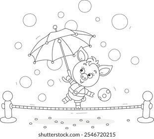 Funny little piglet equilibrist playing with a striped umbrella and balancing on a taut rope in a fun circus performance, black and white outline vector cartoon illustration for a coloring book