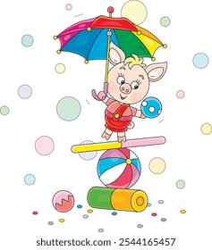 Equilibrista de leitão pequeno engraçado com um guarda-chuva de brinquedo e uma bola balanceando em uma bola listrada colorida, tabuleiro e cilindro em uma performance divertida do circo, ilustração de desenho animado vetorial em um fundo branco