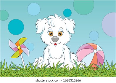 Funny little pup sitting on green grass after a game with colorful ball on a playground in a summer park, vector cartoon illustration