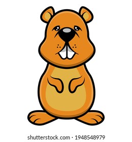 Funny Little Squirrel standing, best for icon or logo for anti rodent product