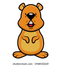Funny Little Squirrel standing, best for icon or logo for anti rodent product