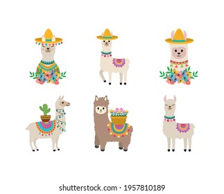 funny llama with hat flowers