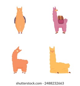 Iconos divertidos de llama conjunto de Vector de dibujos animados. Divertido personaje de alpaca. Caricatura animal