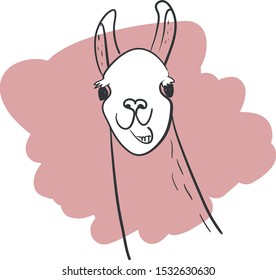 Funny llama. Vector illustration. Portrait of a llama