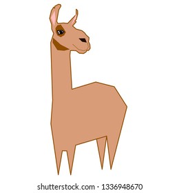 funny llama vector isolated