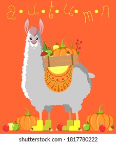 Funny llama with wood box and pumpkins. Vector illustration for card, poster, flyer and print.