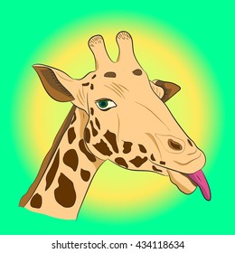 Funny lone giraffe on yellow green background