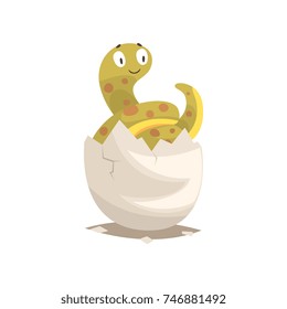 Funny long snake baby in broken egg shell