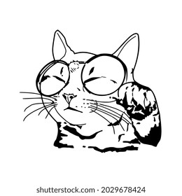 funny looking cat with glasses great idea wo tank top ( design vector illustration for use in design and print wall art poster canvas