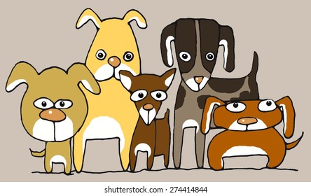 Funny Looking Dogs