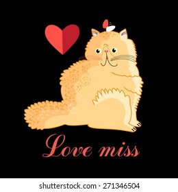 funny love with persian cat on a black background 