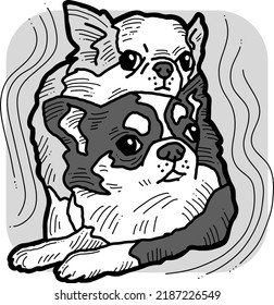 Funny lovely home animals happy playing together. For pet shop or kids room, logo design, party invitation, postcard for friend. Hand drawn illustration. Cartoon style character vector drawing.