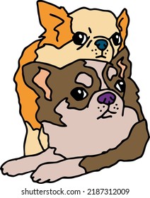 Funny lovely home animals happy playing together. For pet shop or kids room, logo design, party invitation, postcard for friend. Hand drawn illustration. Cartoon style character vector drawing.