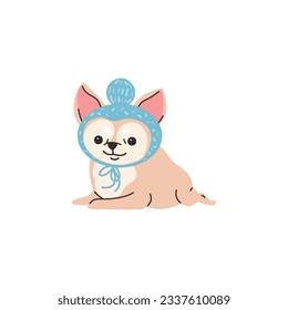 Funny lying chihuahua in cute blue hat with pompon flat style, vector illustration isolated on white background. Decorative design element, thoroughbred dog animal, little pet
