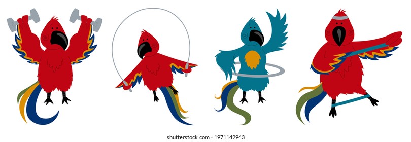 Funny macaw parakeets doing sports. Set of sports parrots.
