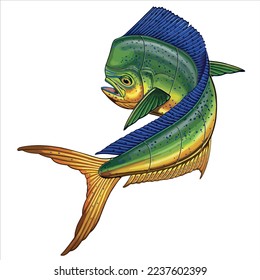 Funny Mahi Mahi multicolor Coryphaena Hippurus, Dolphin Fish Art, Fishing lovers Vector Fish Illustration Graphic.
