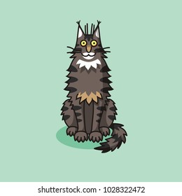 Funny maine coon cat sitting 