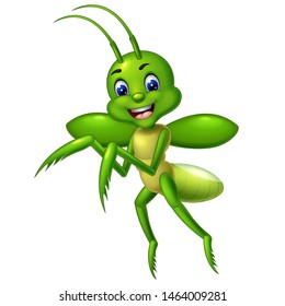 Funny Mantis Cartoon For Your Design