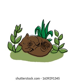 Funny marsupial wombat with background landscape design. Cute vector illustration with an Australian animal. For textiles, cards, posters and other design.