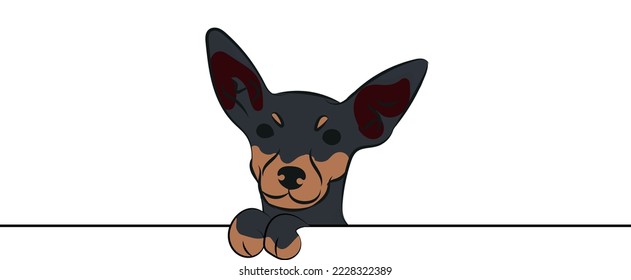 Funny Miniature Pinscher dog with paws over a white wall, in a pocket vector illustration. Funny dog smiling. Cute dog head on a white background. Hand-drawn mascot. Smiling dog muzzle. BFF.